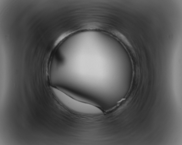 X0000083061226200703022126