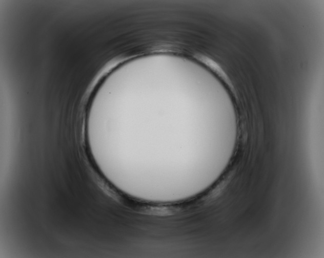 X0000083061227200703022126