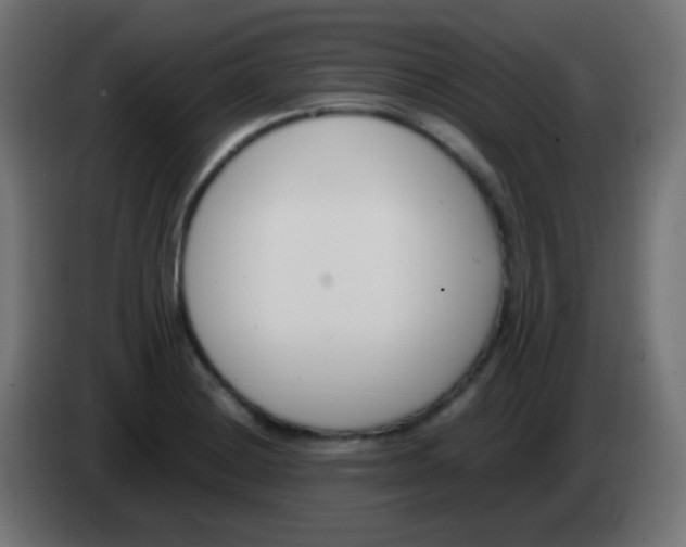 X0000083061228200703022126