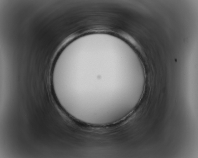 X0000083061229200703022126