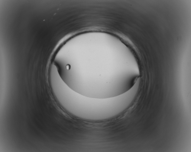 X0000083061230200703022126