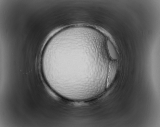 X0000083061231200703022126