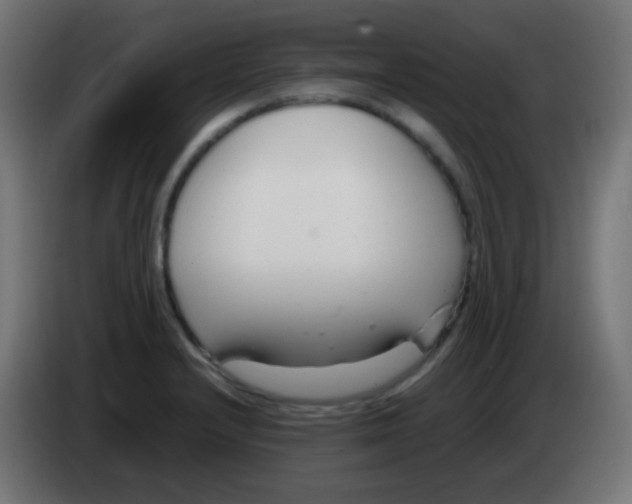 X0000083061232200703022126