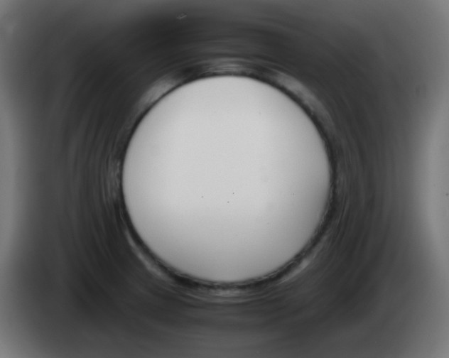 X0000083061233200703022126