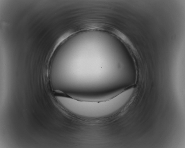 X0000083061234200703022126