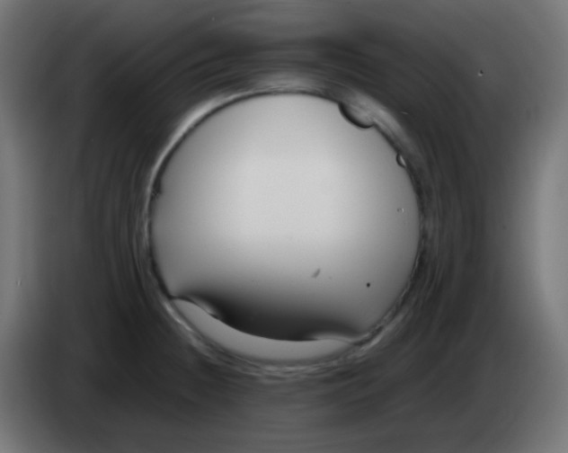 X0000083061236200703022126