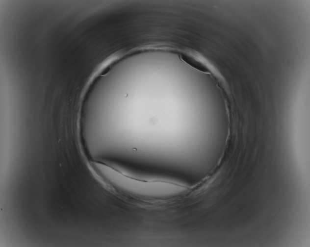 X0000083061237200703022126