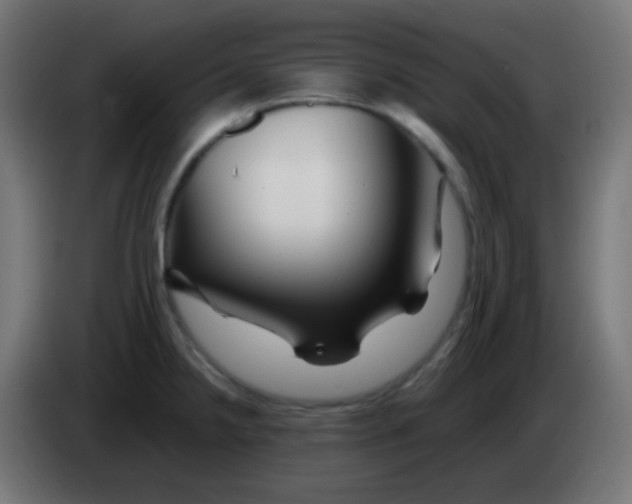 X0000083061238200703022126