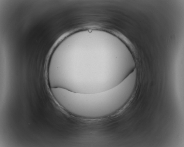 X0000083061240200703022126