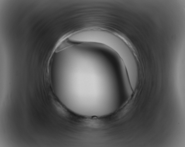 X0000083061242200703022126