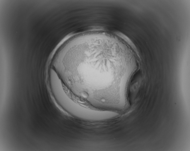 X0000083061243200703022126