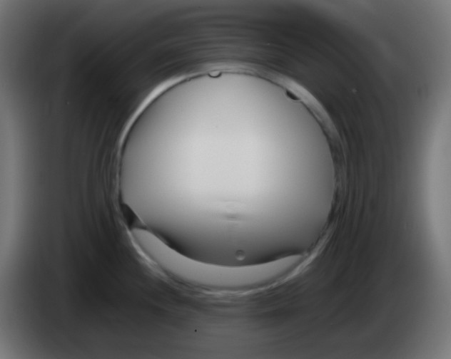 X0000083061244200703022126