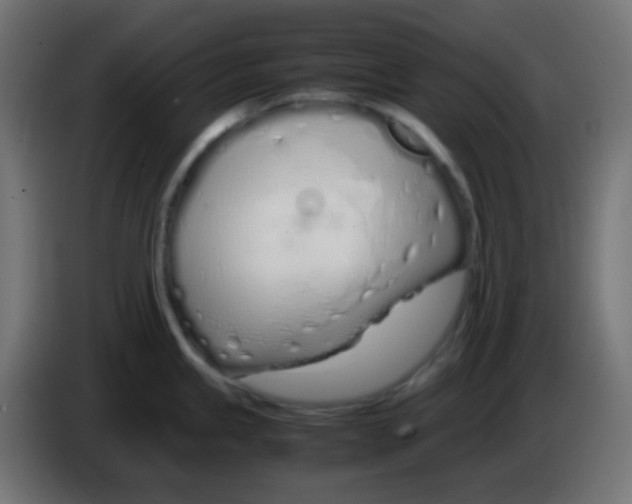 X0000083061245200703022126