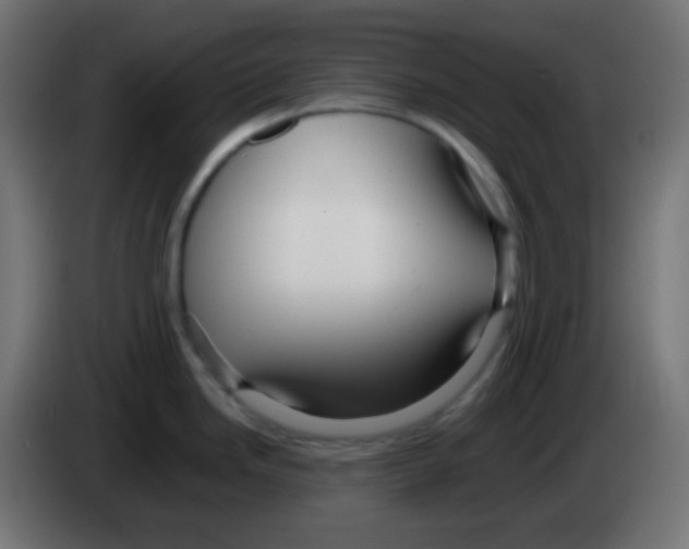 X0000083061246200703022126