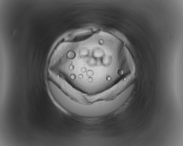 X0000083061247200703022126