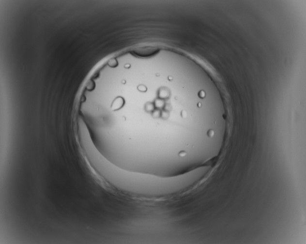 X0000083061248200703022126