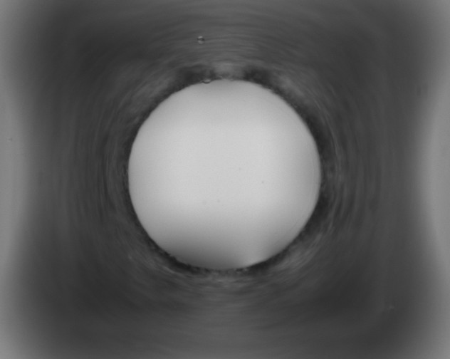 X0000083061249200703022126