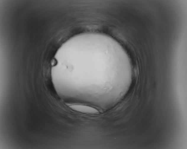 X0000083061251200703022126