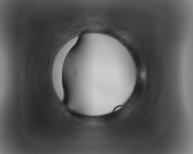 X0000083061252200703022126