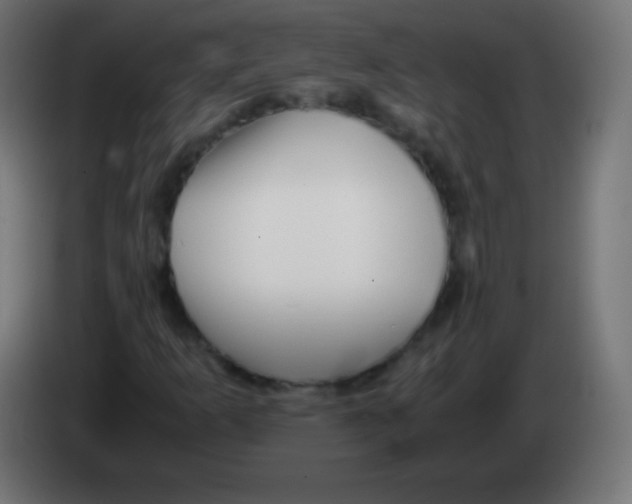 X0000083061253200703022126