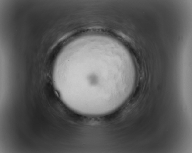 X0000083061255200703022126