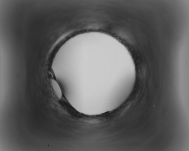 X0000083061256200703022126