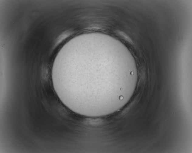 X0000083061258200703022126