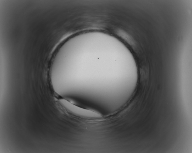 X0000083061260200703022125