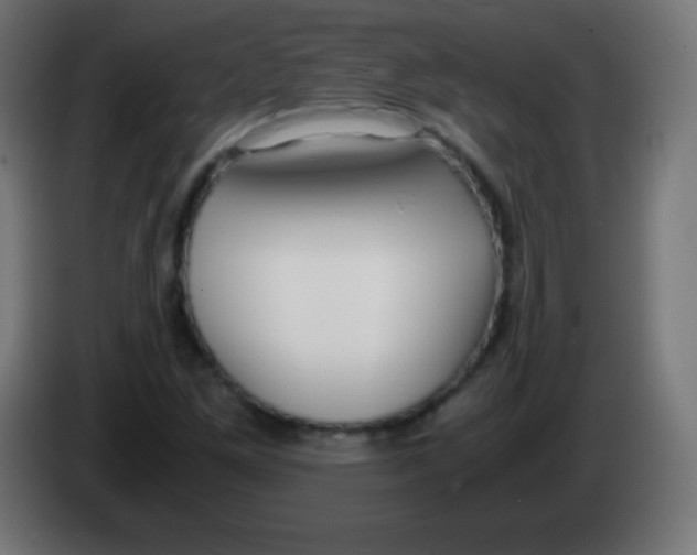 X0000083061261200703022125