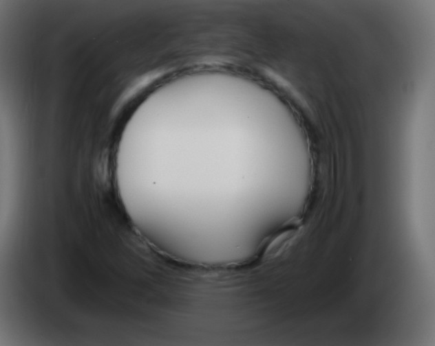 X0000083061262200703022125