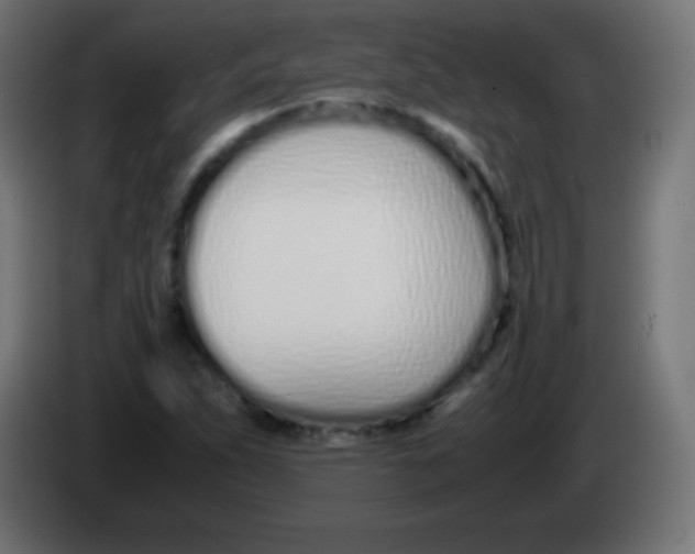 X0000083061263200703022125