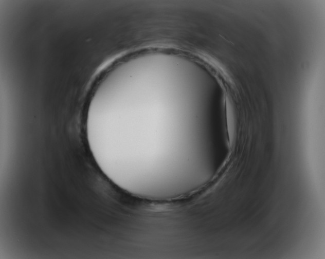 X0000083061264200703022125