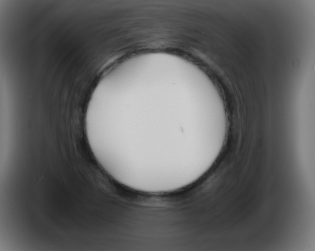 X0000083061265200703022125