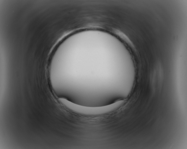 X0000083061268200703022125