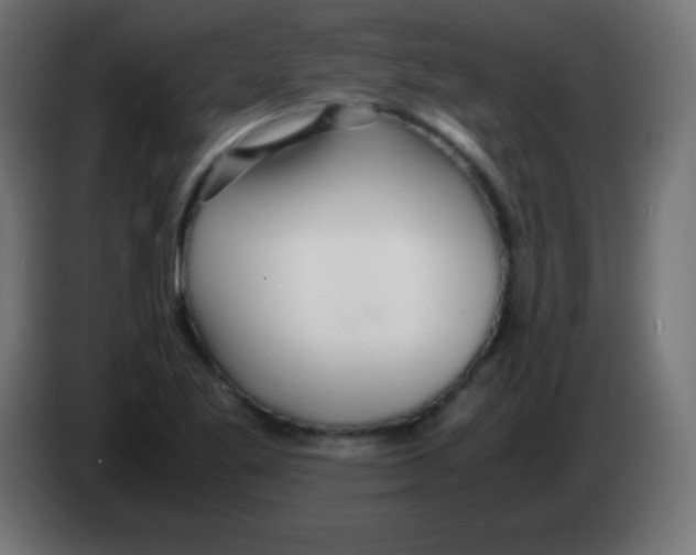 X0000083061269200703022125