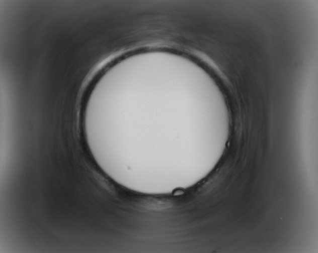 X0000083061270200703022125