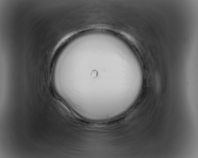 X0000083061271200703022125