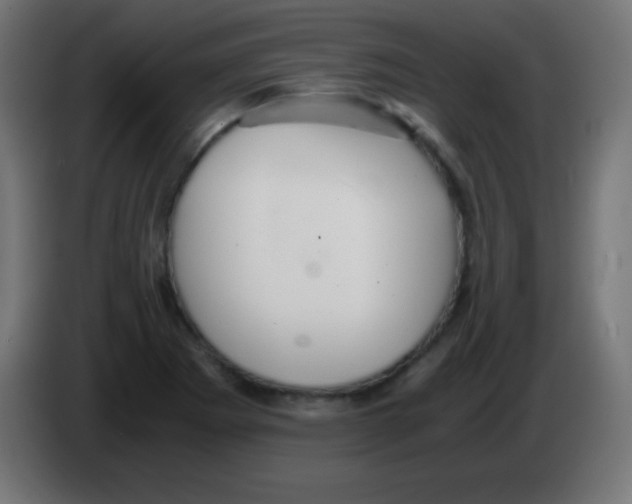 X0000083061273200703022125