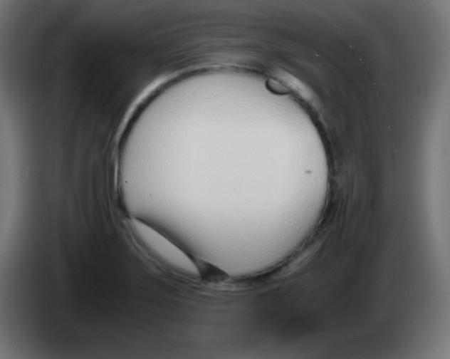 X0000083061275200703022125