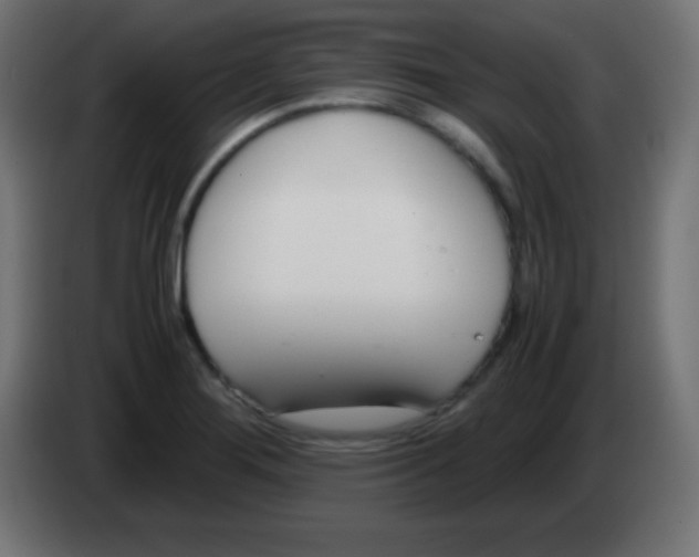 X0000083061276200703022125