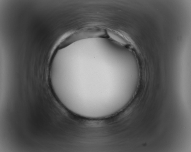 X0000083061277200703022125