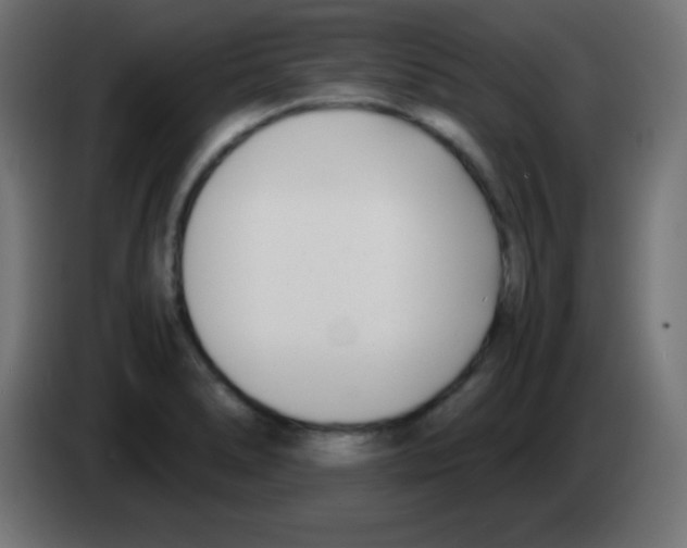 X0000083061278200703022125