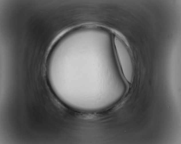 X0000083061279200703022125