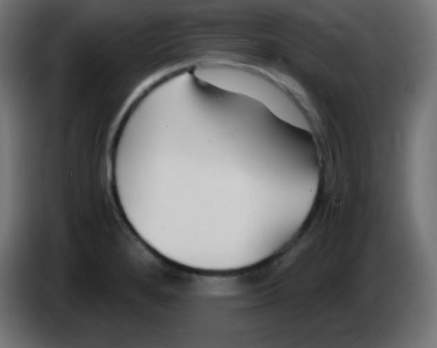 X0000083061280200703022125