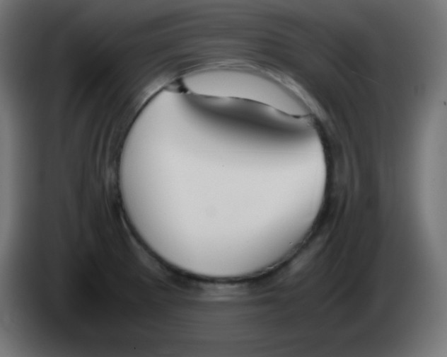 X0000083061281200703022125