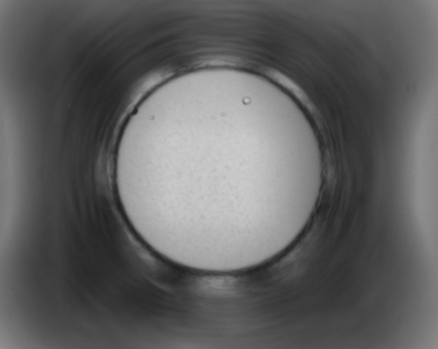 X0000083061282200703022125