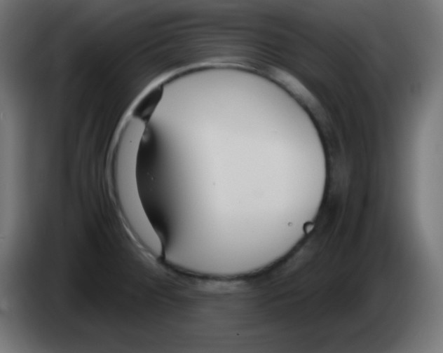 X0000083061284200703022125