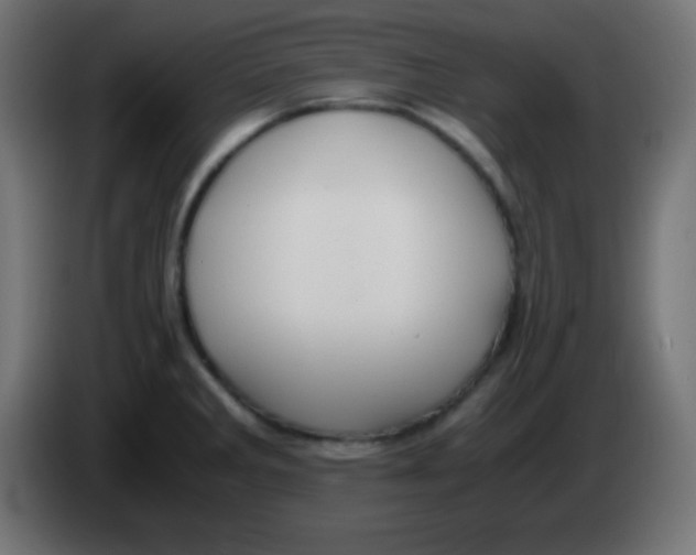 X0000083061285200703022125