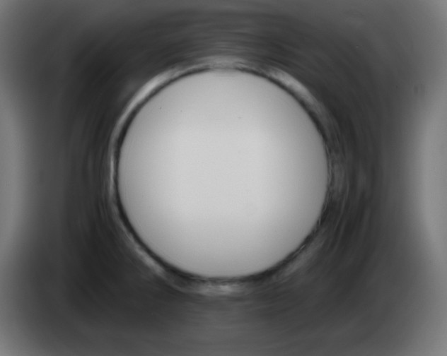 X0000083061286200703022125