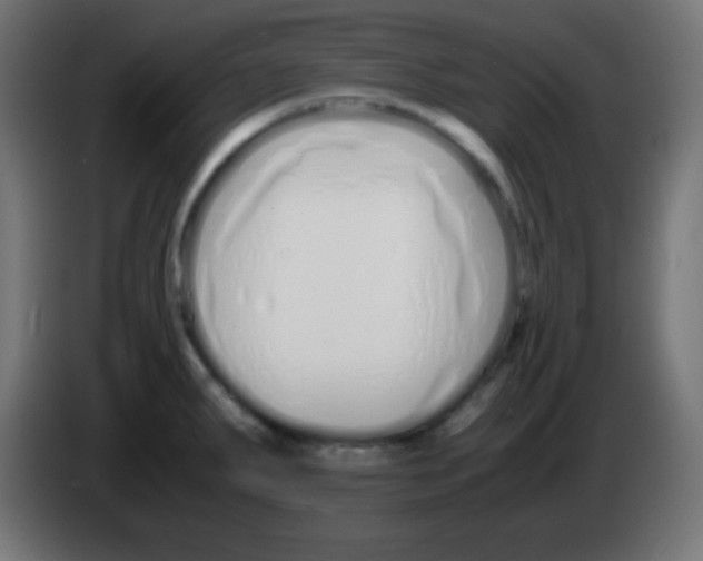 X0000083061287200703022125